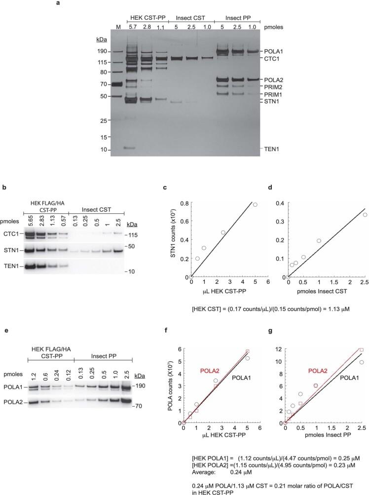 https://cdn.ncbi.nlm.nih.gov/pmc/blobs/2c51/9402439/07790c102038/41586_2022_4930_Fig5_ESM.jpg