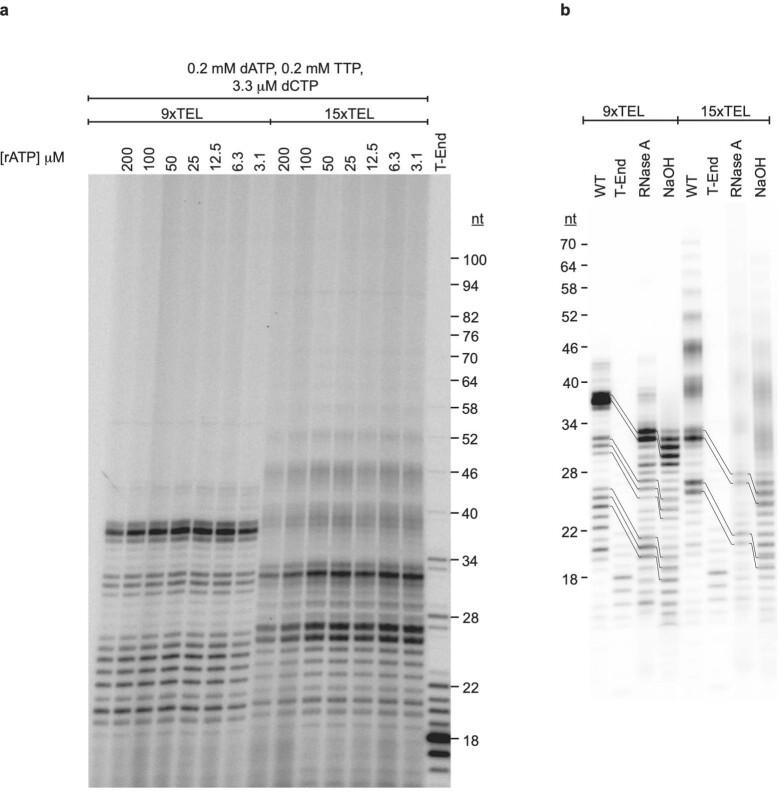 https://cdn.ncbi.nlm.nih.gov/pmc/blobs/2c51/9402439/907ee1c3060c/41586_2022_4930_Fig9_ESM.jpg