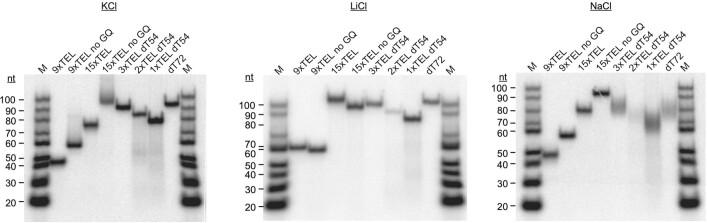 https://cdn.ncbi.nlm.nih.gov/pmc/blobs/2c51/9402439/9ce7ba6a8ea6/41586_2022_4930_Fig11_ESM.jpg