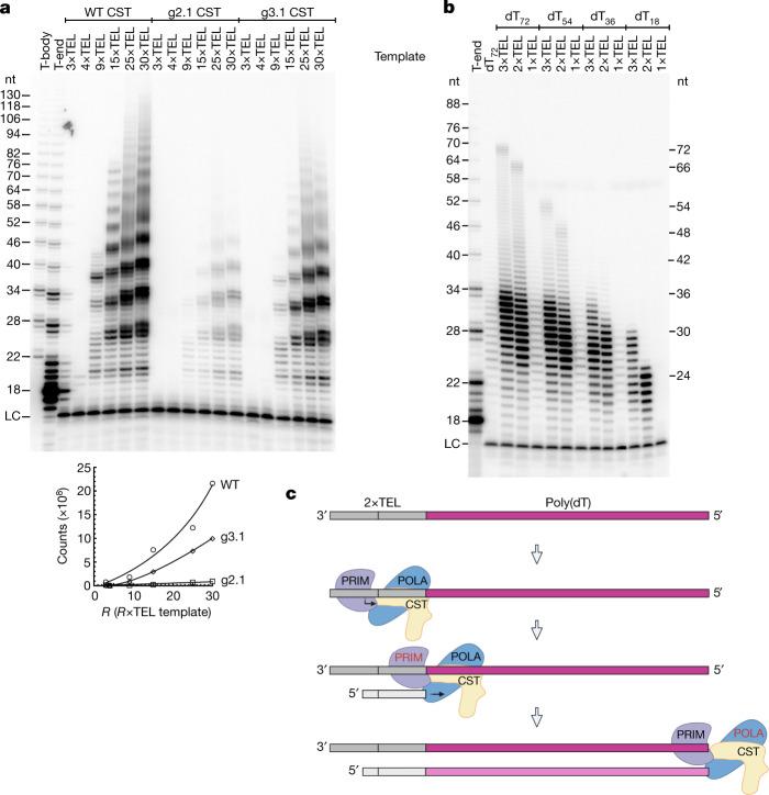 https://cdn.ncbi.nlm.nih.gov/pmc/blobs/2c51/9402439/a16f50a0b2c5/41586_2022_4930_Fig2_HTML.jpg