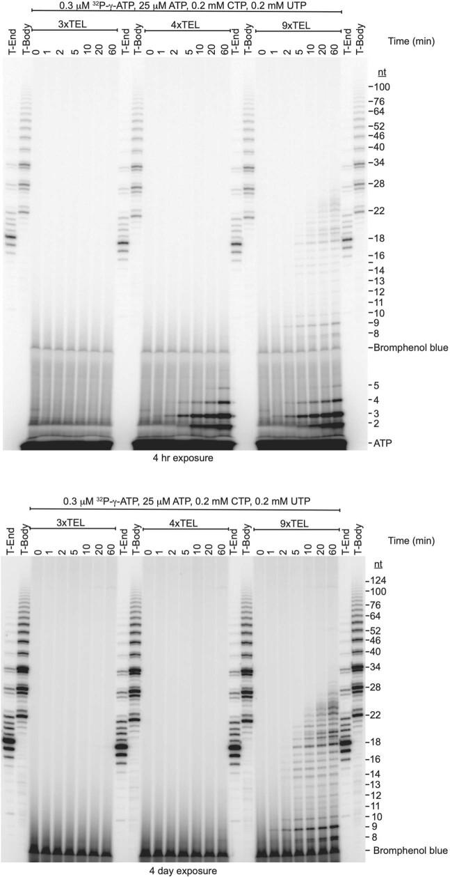 https://cdn.ncbi.nlm.nih.gov/pmc/blobs/2c51/9402439/a3fdeae5962b/41586_2022_4930_Fig10_ESM.jpg