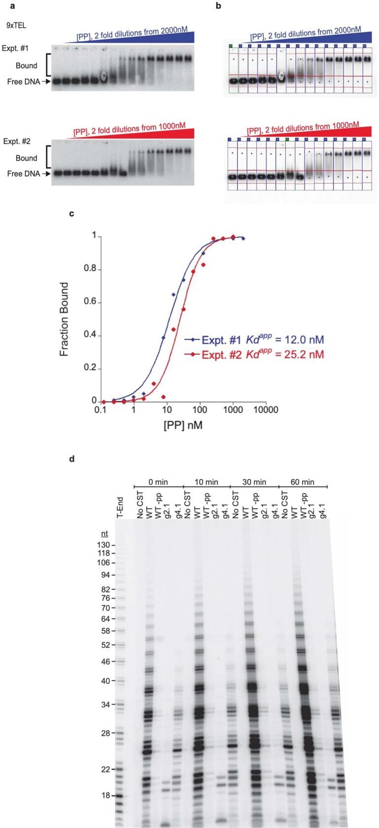 https://cdn.ncbi.nlm.nih.gov/pmc/blobs/2c51/9402439/e18a1078ced7/41586_2022_4930_Fig14_ESM.jpg