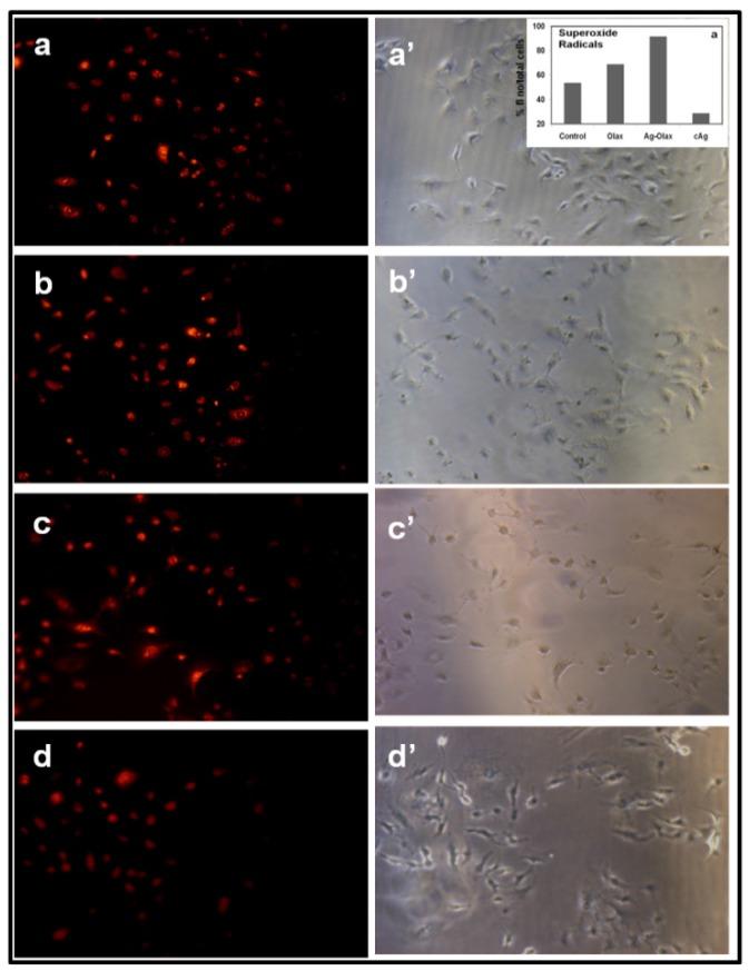 https://cdn.ncbi.nlm.nih.gov/pmc/blobs/2c56/3915094/2413bb165ef0/thnov04p0316g009.jpg