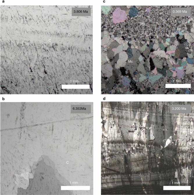 https://cdn.ncbi.nlm.nih.gov/pmc/blobs/2c57/12018461/11b85483be02/41586_2025_8859_Fig8_ESM.jpg