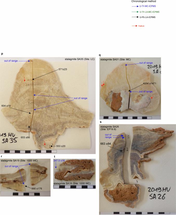 https://cdn.ncbi.nlm.nih.gov/pmc/blobs/2c57/12018461/3104bc1a5085/41586_2025_8859_Fig7_ESM.jpg