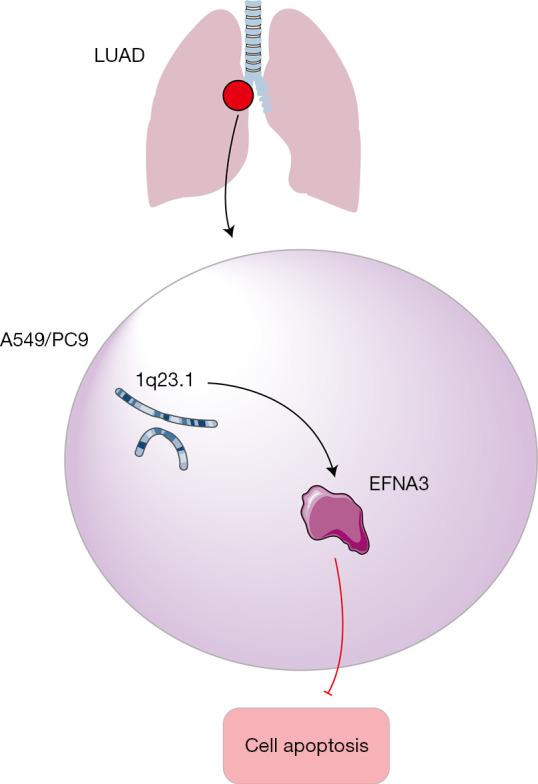 https://cdn.ncbi.nlm.nih.gov/pmc/blobs/2c57/9189215/bc4ee2e0d115/tcr-11-05-1309-f5.jpg