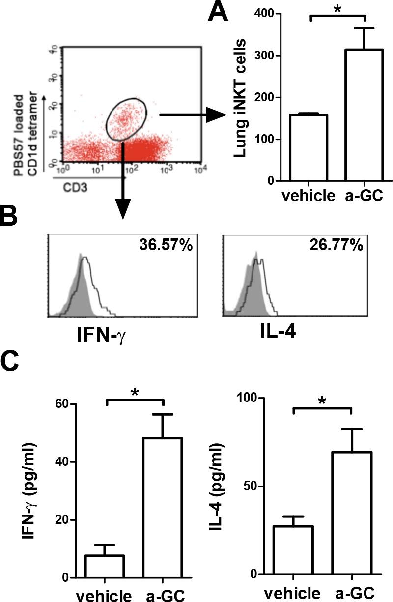 https://cdn.ncbi.nlm.nih.gov/pmc/blobs/2c59/4727802/39ace38161ae/pone.0147710.g001.jpg