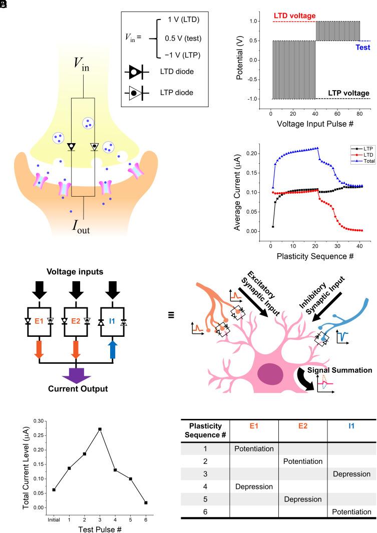 https://cdn.ncbi.nlm.nih.gov/pmc/blobs/2c59/9910479/52f4aa9739ac/pnas.2211442120fig04.jpg