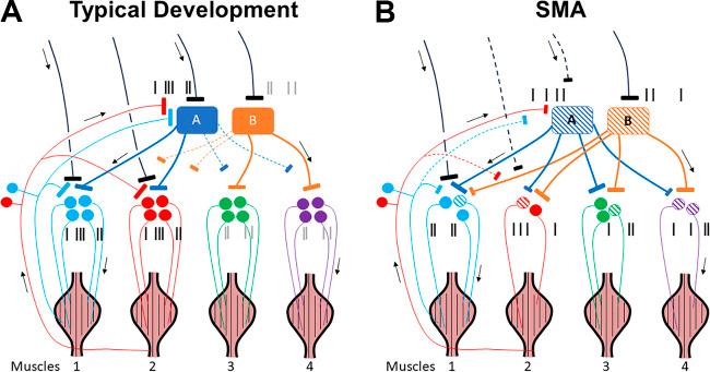https://cdn.ncbi.nlm.nih.gov/pmc/blobs/2c5c/11321722/53ff2cc9e2ec/jn.00513.2022_f010.jpg