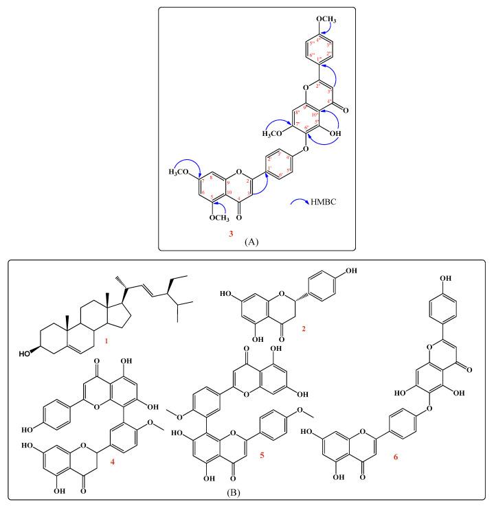 https://cdn.ncbi.nlm.nih.gov/pmc/blobs/2c5c/8401967/c9e2ae1797c0/pharmaceuticals-14-00756-g001.jpg