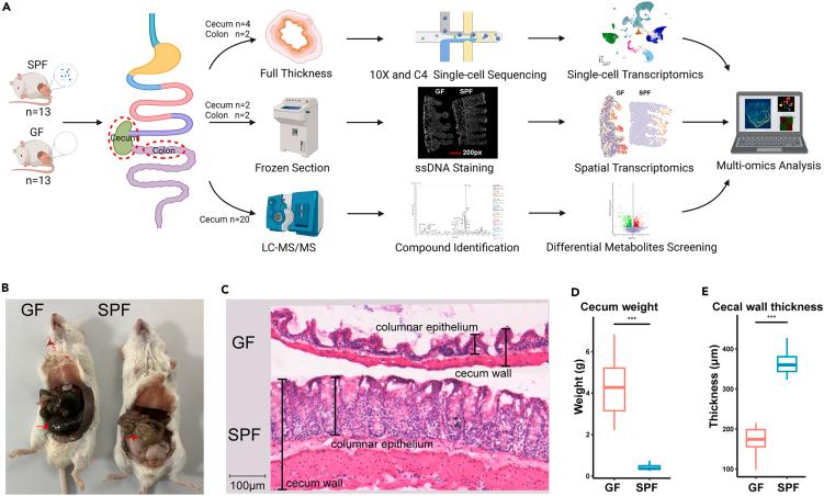 https://cdn.ncbi.nlm.nih.gov/pmc/blobs/2c5d/10850757/1aab675773ac/gr1.jpg