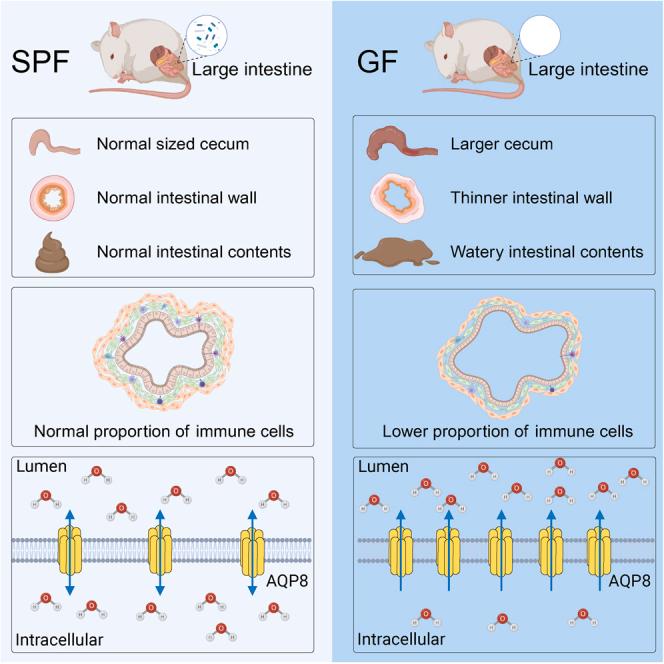 https://cdn.ncbi.nlm.nih.gov/pmc/blobs/2c5d/10850757/7673801e9f7d/fx1.jpg