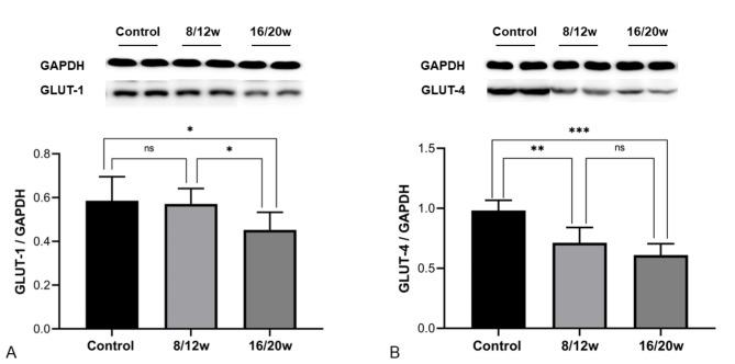 https://cdn.ncbi.nlm.nih.gov/pmc/blobs/2c5f/10067248/491abbb84081/13098_2023_1038_Fig6_HTML.jpg