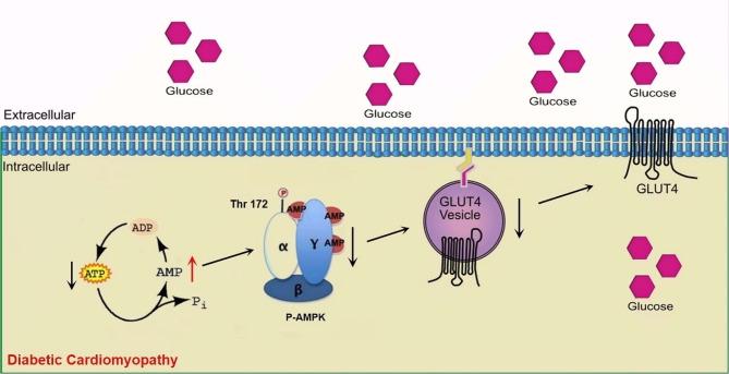 https://cdn.ncbi.nlm.nih.gov/pmc/blobs/2c5f/10067248/c9fcc69d57b0/13098_2023_1038_Fig8_HTML.jpg