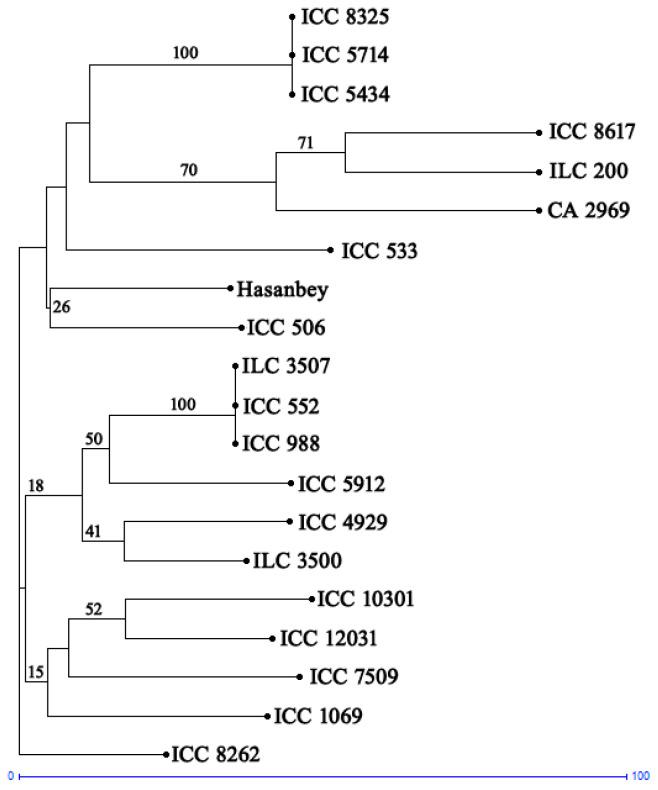 https://cdn.ncbi.nlm.nih.gov/pmc/blobs/2c5f/11397535/3ed3b1c21968/plants-13-02530-g003.jpg