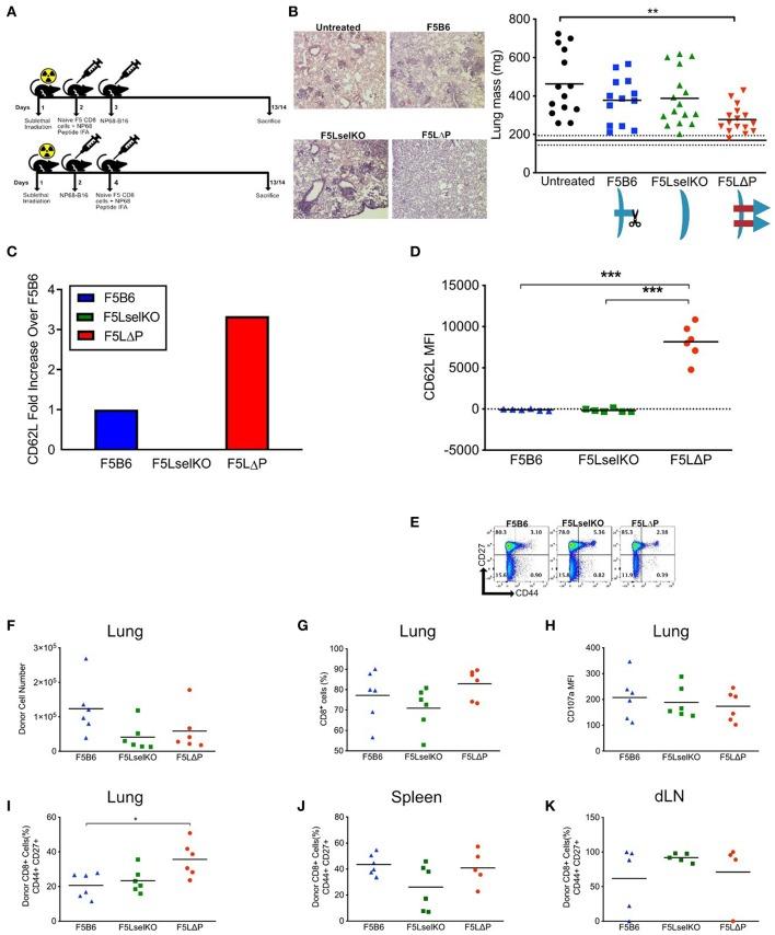https://cdn.ncbi.nlm.nih.gov/pmc/blobs/2c5f/6582763/62cedfbfd561/fimmu-10-01321-g0003.jpg