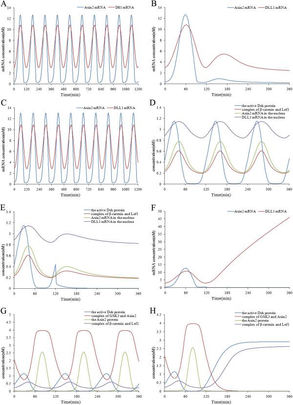 https://cdn.ncbi.nlm.nih.gov/pmc/blobs/2c62/3648501/924fe78cb274/1742-4682-10-27-4.jpg