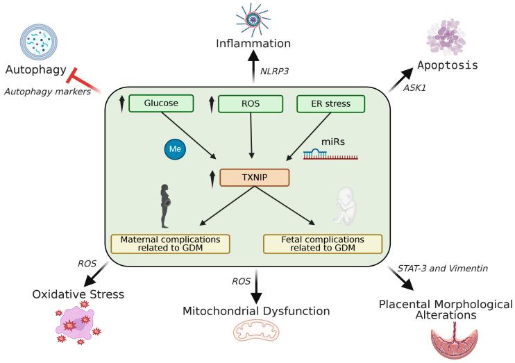 https://cdn.ncbi.nlm.nih.gov/pmc/blobs/2c63/12195283/f04a195df3e6/metabolites-15-00351-g003.jpg