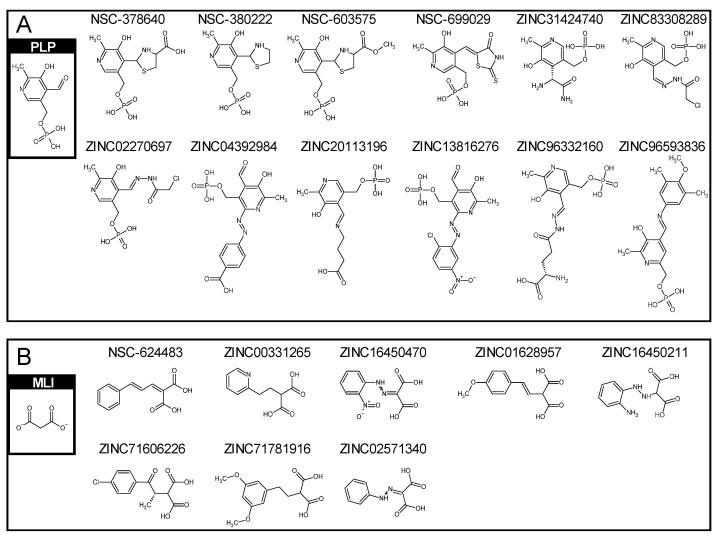 https://cdn.ncbi.nlm.nih.gov/pmc/blobs/2c63/9962741/89f47d9899c9/pharmaceuticals-16-00280-g003.jpg