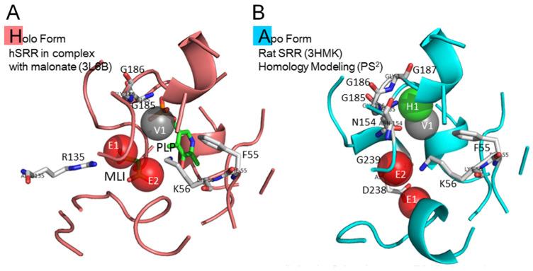 https://cdn.ncbi.nlm.nih.gov/pmc/blobs/2c63/9962741/d289703a6bec/pharmaceuticals-16-00280-g001.jpg