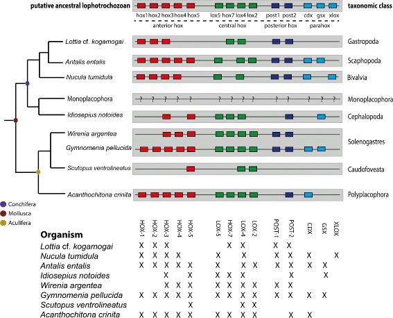 https://cdn.ncbi.nlm.nih.gov/pmc/blobs/2c65/5103448/878ce7cfc6a9/12864_2016_3080_Fig2_HTML.jpg