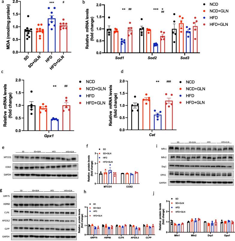 https://cdn.ncbi.nlm.nih.gov/pmc/blobs/2c66/10924388/84cd9741df40/12986_2024_784_Fig4_HTML.jpg