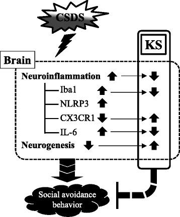 https://cdn.ncbi.nlm.nih.gov/pmc/blobs/2c66/5415730/70a4bfbd5781/12974_2017_876_Fig9_HTML.jpg