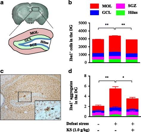 https://cdn.ncbi.nlm.nih.gov/pmc/blobs/2c66/5415730/a7c20424079c/12974_2017_876_Fig4_HTML.jpg