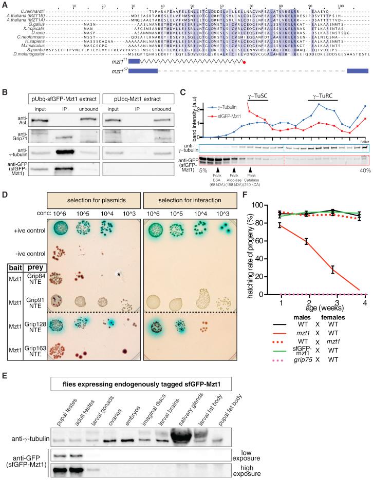 https://cdn.ncbi.nlm.nih.gov/pmc/blobs/2c6b/6065531/d9f491f33db5/gr1.jpg