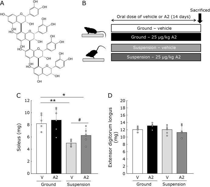 https://cdn.ncbi.nlm.nih.gov/pmc/blobs/2c6c/10493217/5f7b21f5c7b1/jcbn23-12f01.jpg