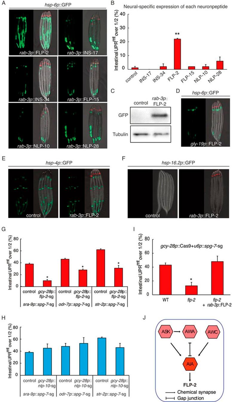 https://cdn.ncbi.nlm.nih.gov/pmc/blobs/2c6c/5099867/54df58340af6/cr2016118f7.jpg