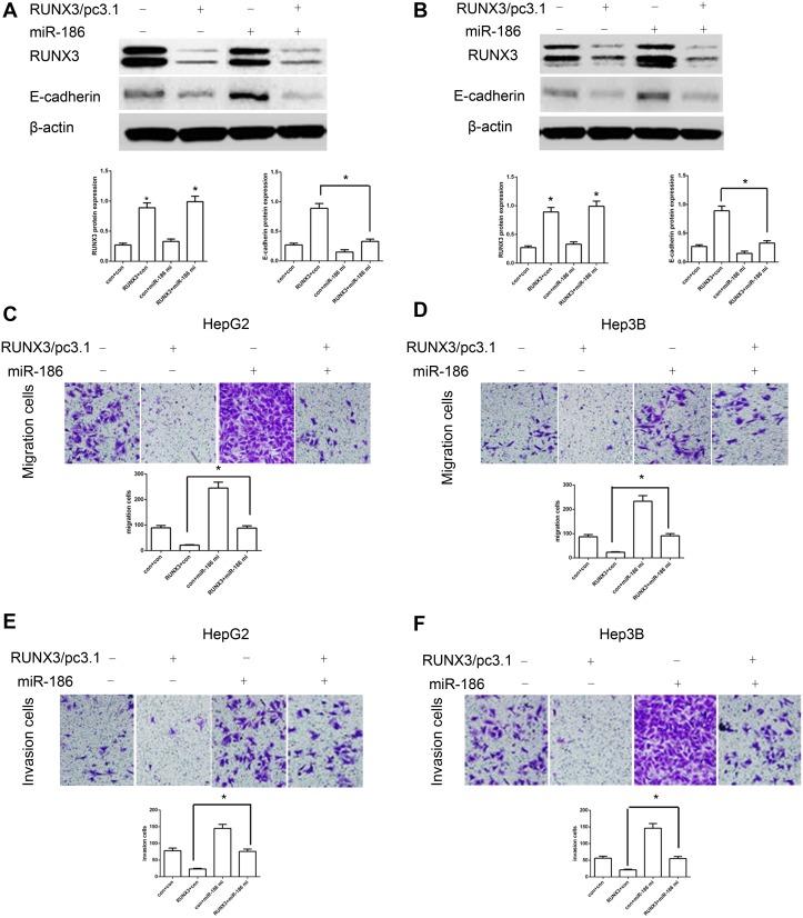 https://cdn.ncbi.nlm.nih.gov/pmc/blobs/2c6c/5617438/4cdf7d5b3a50/oncotarget-08-61475-g006.jpg