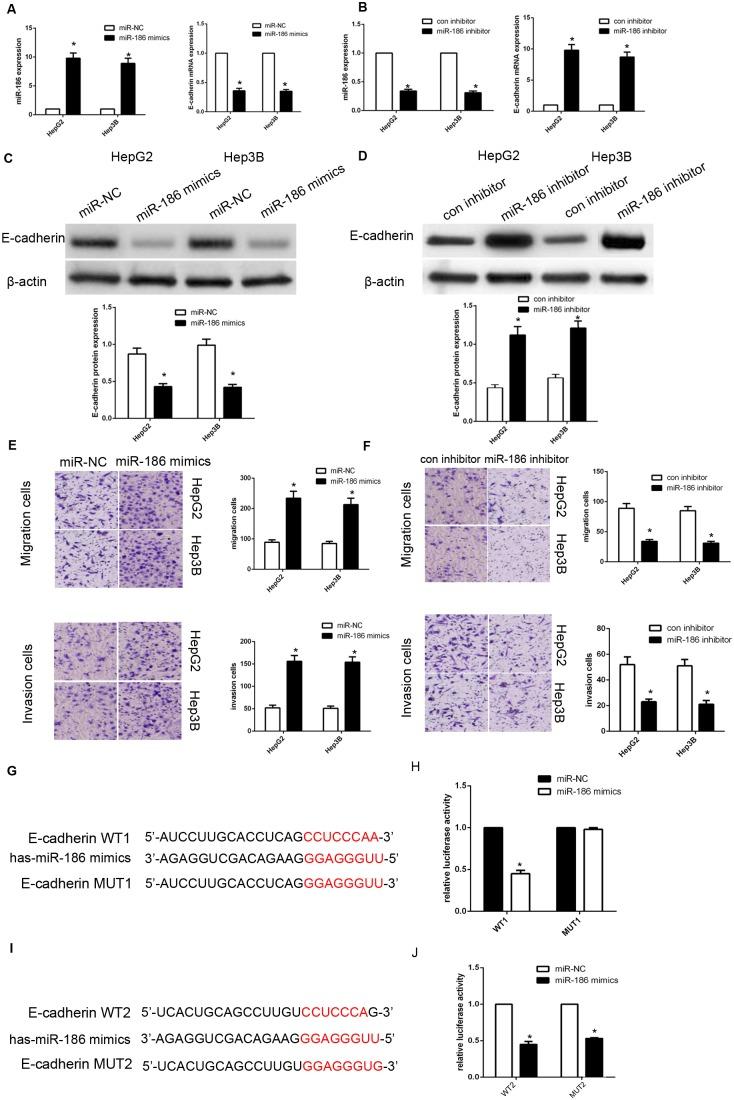 https://cdn.ncbi.nlm.nih.gov/pmc/blobs/2c6c/5617438/ac09fbcdc922/oncotarget-08-61475-g005.jpg