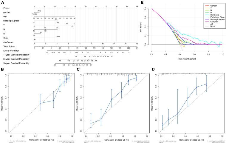 https://cdn.ncbi.nlm.nih.gov/pmc/blobs/2c6f/8419360/37dea3b6fc76/fgene-12-739470-g007.jpg