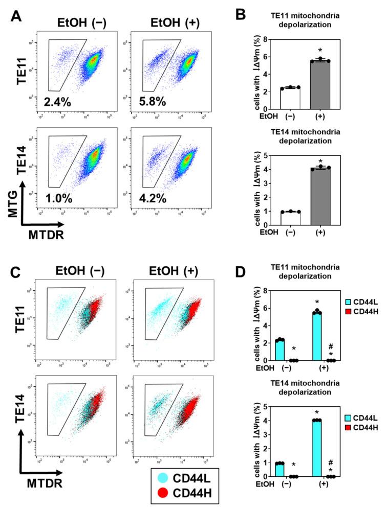 https://cdn.ncbi.nlm.nih.gov/pmc/blobs/2c6f/8533166/0edad38b34b7/biomolecules-11-01479-g006.jpg