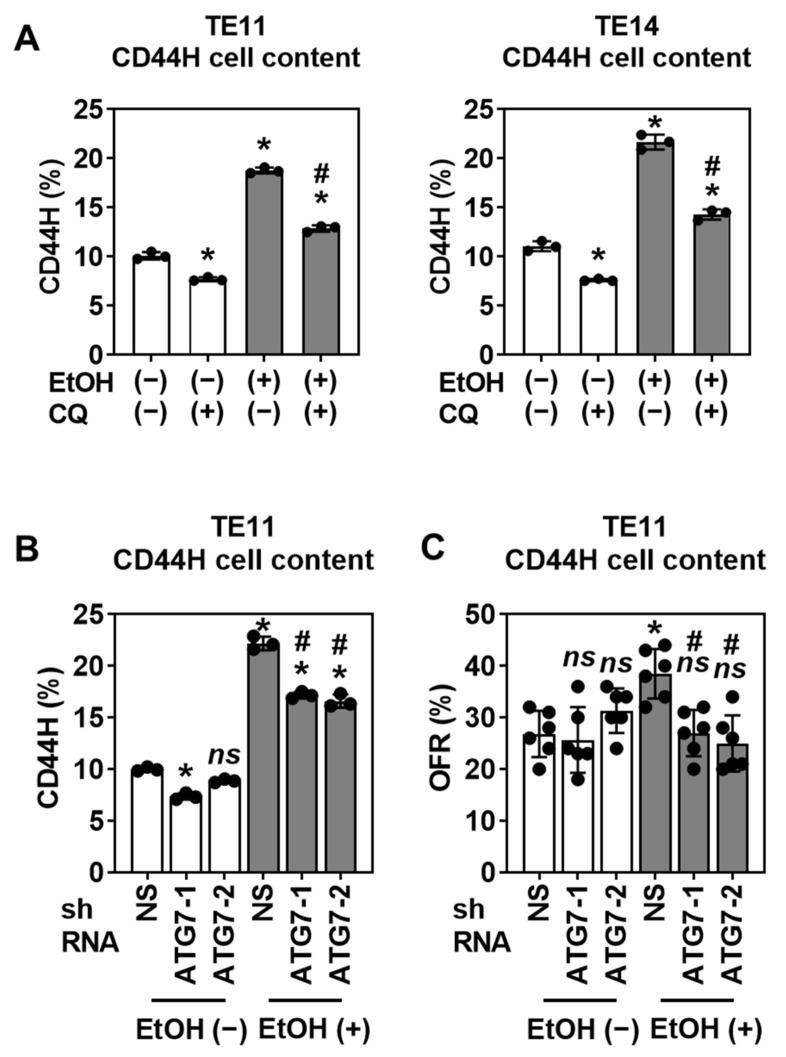 https://cdn.ncbi.nlm.nih.gov/pmc/blobs/2c6f/8533166/d3885acacaff/biomolecules-11-01479-g009.jpg