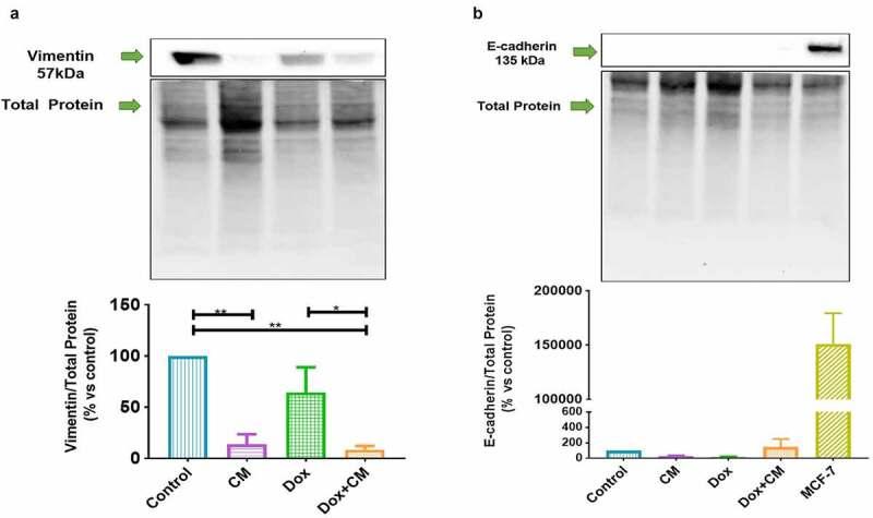 https://cdn.ncbi.nlm.nih.gov/pmc/blobs/2c6f/8632082/d71676806883/KADI_A_1979758_F0004_OC.jpg