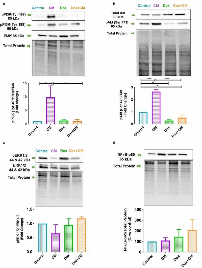 https://cdn.ncbi.nlm.nih.gov/pmc/blobs/2c6f/8632082/e314382825cd/KADI_A_1979758_F0003_OC.jpg