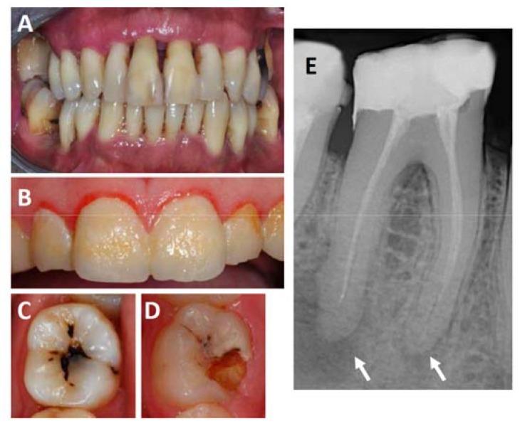 https://cdn.ncbi.nlm.nih.gov/pmc/blobs/2c71/6073301/991d05209e71/ijms-19-01978-g001.jpg