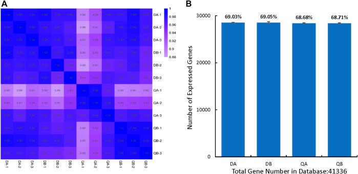 https://cdn.ncbi.nlm.nih.gov/pmc/blobs/2c71/9237257/a13e298a95f8/fbioe-10-929681-g001.jpg