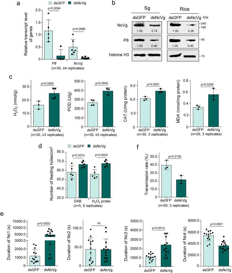 https://cdn.ncbi.nlm.nih.gov/pmc/blobs/2c72/10762104/0211d67ae0b5/41467_2023_43488_Fig5_HTML.jpg