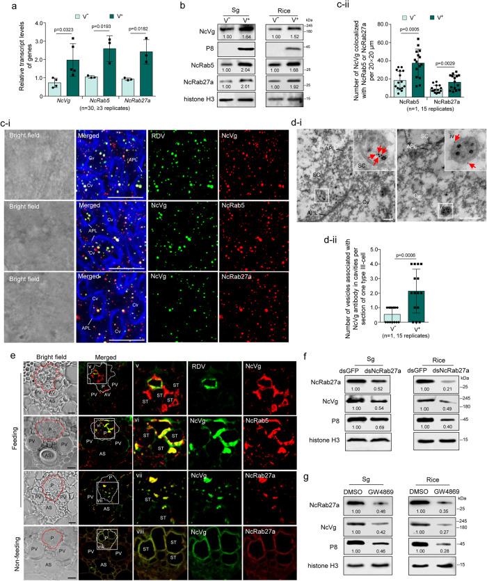 https://cdn.ncbi.nlm.nih.gov/pmc/blobs/2c72/10762104/7b62a0a61043/41467_2023_43488_Fig2_HTML.jpg