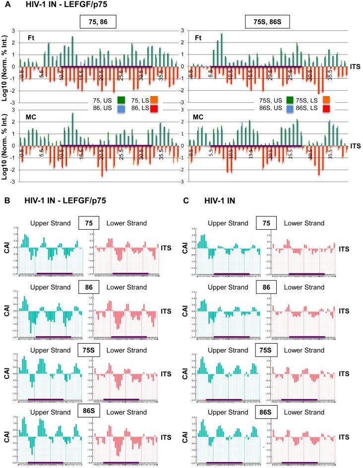 https://cdn.ncbi.nlm.nih.gov/pmc/blobs/2c74/5027509/476444a1612d/gkw651fig4.jpg
