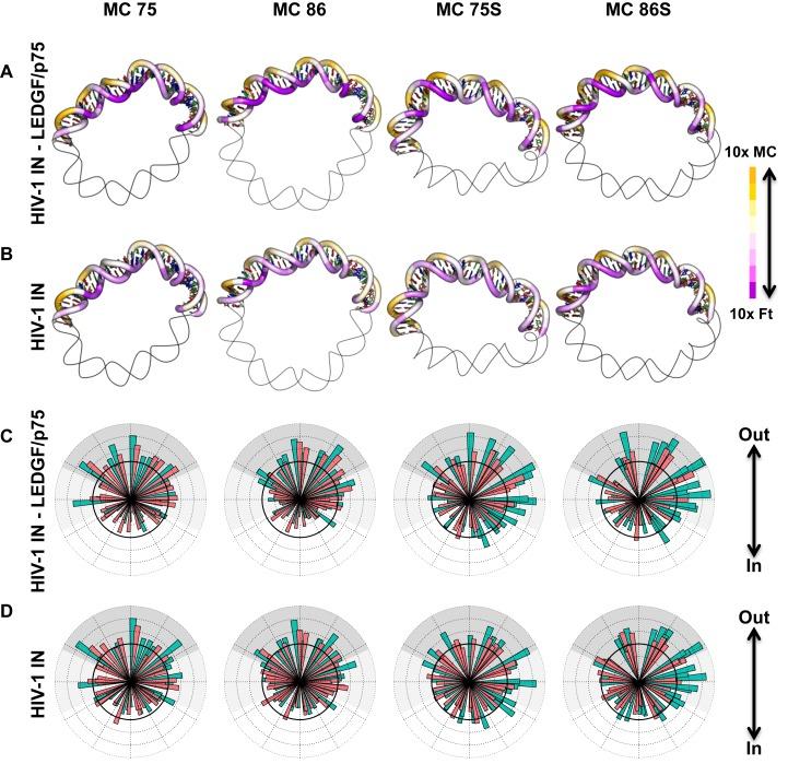 https://cdn.ncbi.nlm.nih.gov/pmc/blobs/2c74/5027509/645536674dd6/gkw651fig5.jpg