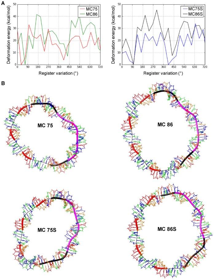 https://cdn.ncbi.nlm.nih.gov/pmc/blobs/2c74/5027509/f10a499c9c5f/gkw651fig2.jpg