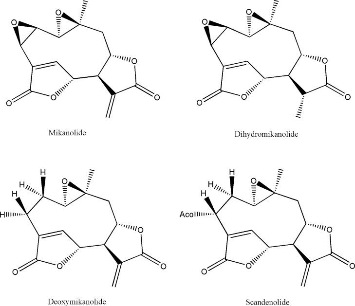 https://cdn.ncbi.nlm.nih.gov/pmc/blobs/2c74/5629014/96b086e3f314/pntd.0005929.g001.jpg