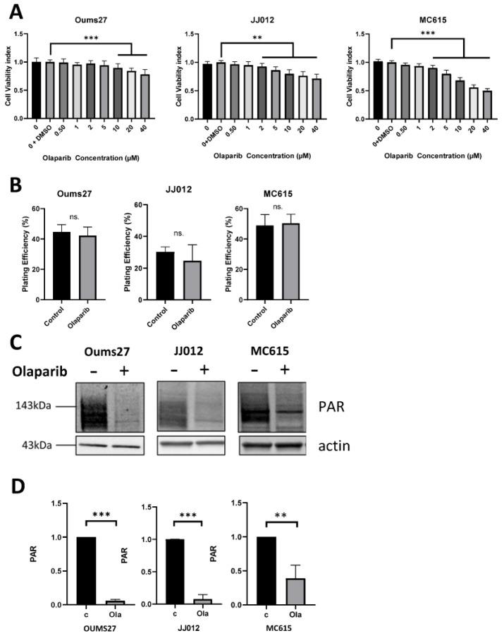 https://cdn.ncbi.nlm.nih.gov/pmc/blobs/2c77/11429578/0549a12d4833/biomolecules-14-01071-g002.jpg