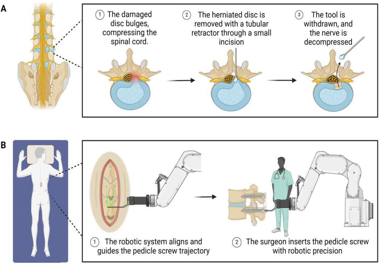 https://cdn.ncbi.nlm.nih.gov/pmc/blobs/2c78/12040341/056c4d73d8aa/nihms-2072389-f0002.jpg