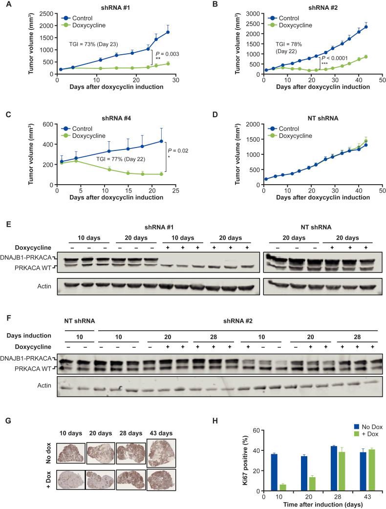 https://cdn.ncbi.nlm.nih.gov/pmc/blobs/2c7b/11307690/e34b19d922a5/gr3.jpg
