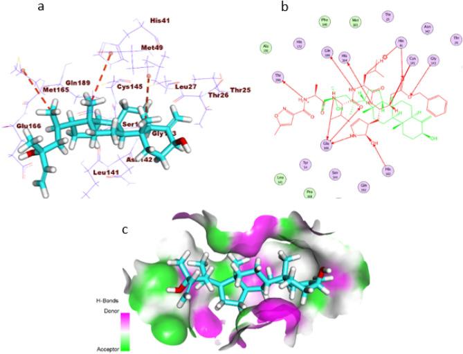 https://cdn.ncbi.nlm.nih.gov/pmc/blobs/2c7b/8991244/60221bf01629/41598_2022_9809_Fig4_HTML.jpg